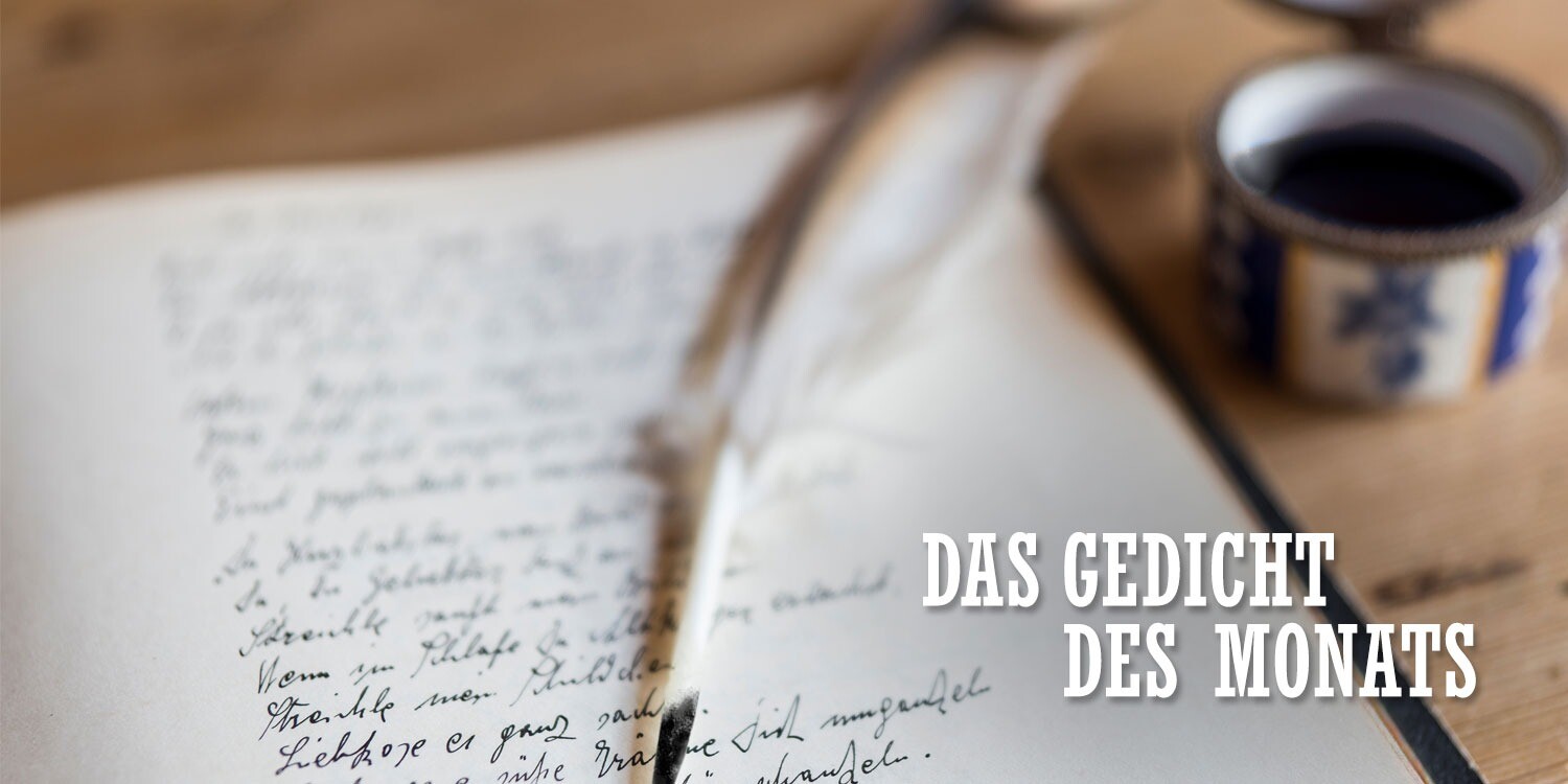 Gedicht_des_Monats Gedicht_des_Monats Kassenhaß