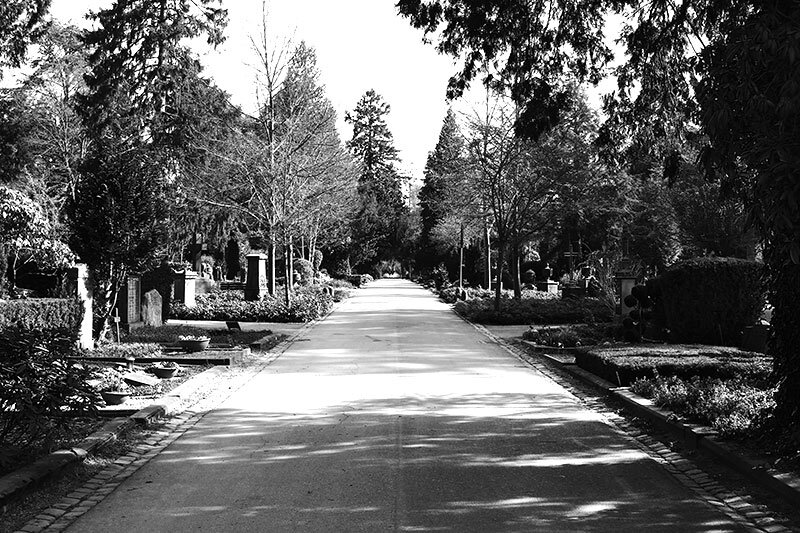 Alter Friedhof Darmstadt Hauptweg zu den Gräbern
