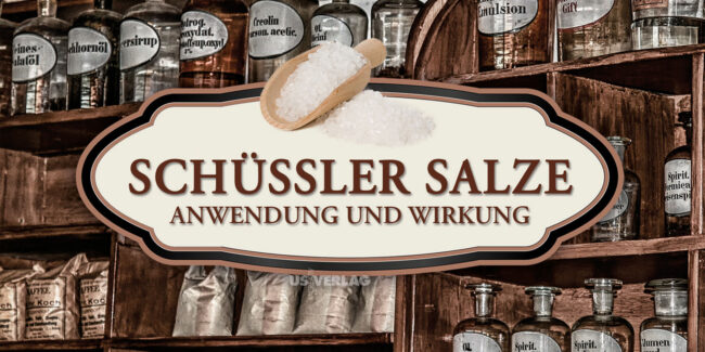 Die Schüßler Salze Anwendung, Wirkung und ein alphabetisches Beschwerden-Register